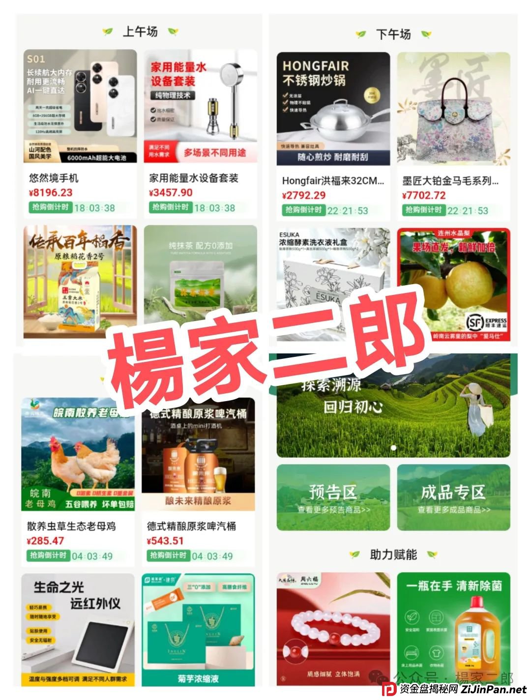 “树X拍易购”崩盘血泪警告：“悠然境”互助盘骗局，崩盘倒计时…