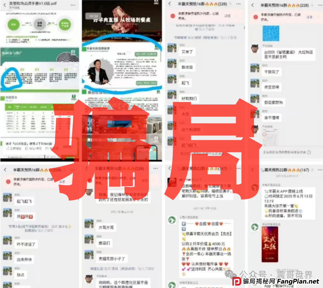 羊霸天美丽牧场：震哥带你扒皮这个空壳骗局