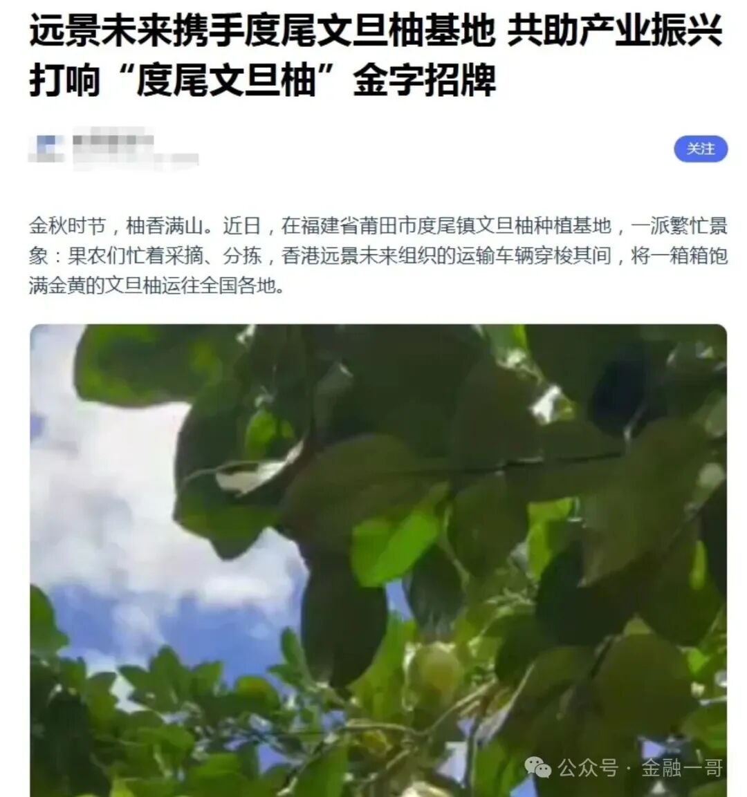 丧心病狂！境外诈骗犯虚构“鸿运万交所”，冒用歌手借 “助残” 之名设局，专骗国人！
