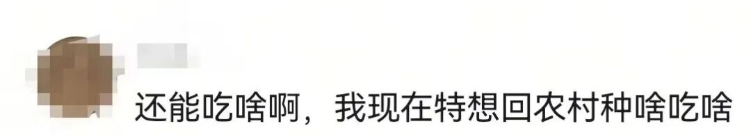 致癌的“激素鸡蛋”又来了？真相是→
