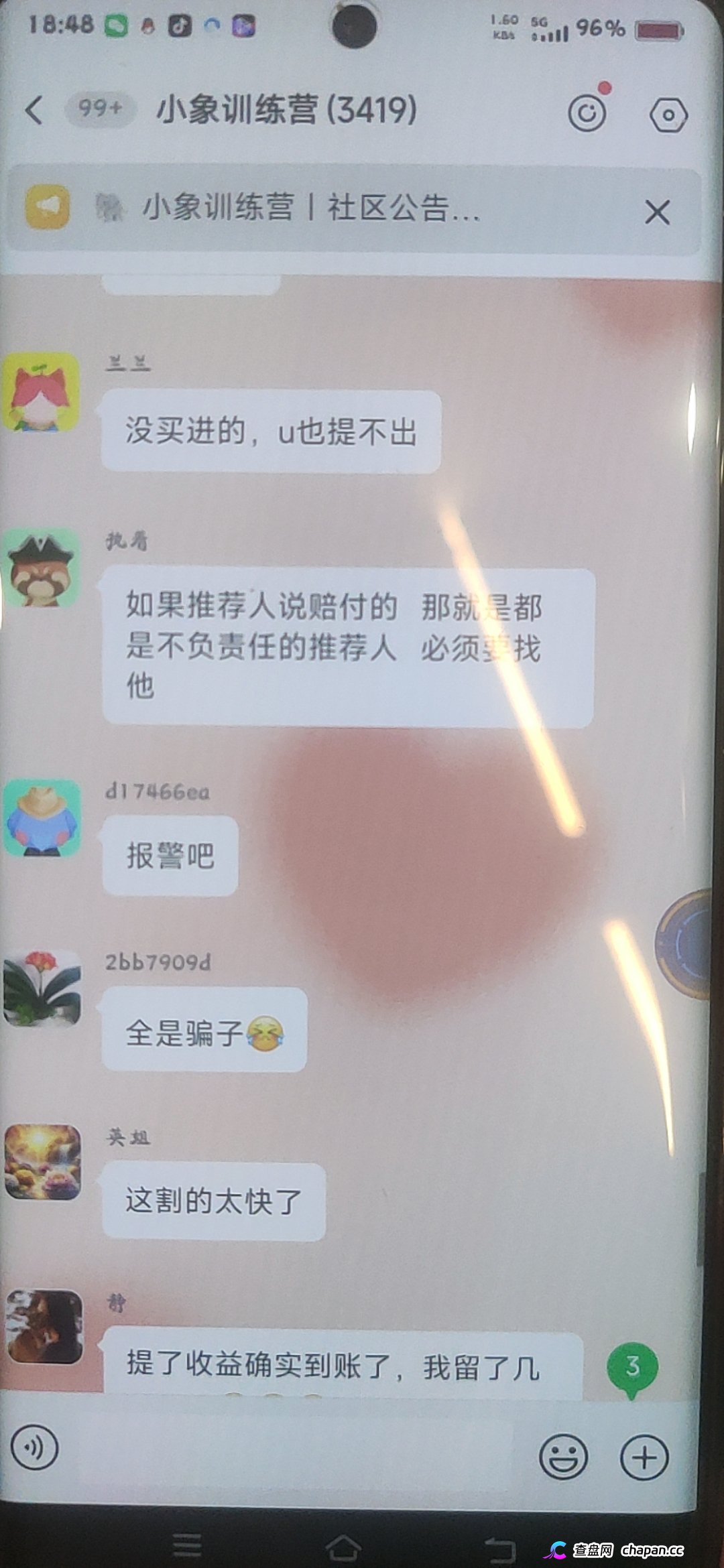 大象社区杀猪盘全面崩盘血洗实录:一夜爆仓4000万,群内全员禁言,狗托"兵哥"还在忽悠充值抄底,受害者已集体报警!(7) 大象社区杀猪盘全面崩盘血洗实录:一夜爆仓4000万,群内全员禁言,狗托"兵哥"还在忽悠充值抄底,受害者已集体报警!(7)
