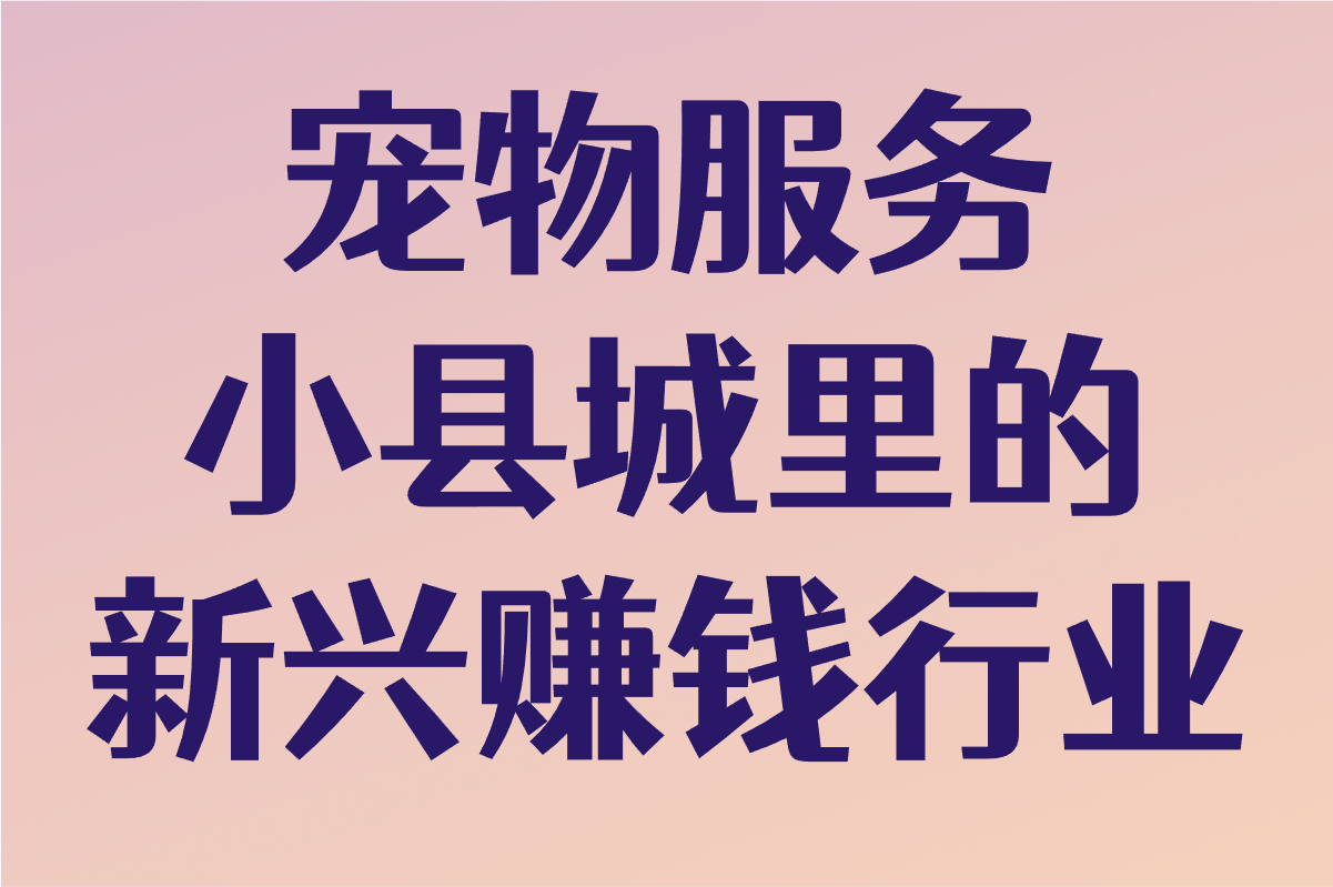 小县城十大冷门暴利生意,低竞争高收益项目盘点,闷声发大财!(2)