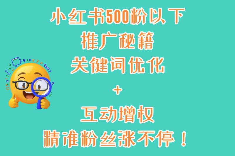 小红书没有500粉丝怎么推广？2025新手必看的低成本涨粉技巧(2)