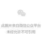 紧急提醒：鑫辰资本带蛋类资金盘二次收割，速避！(3)