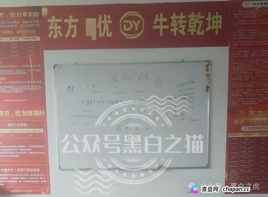 山东团队拉新变慢,项目方KPI定生死|“东方百优”单割倒计时进入最后10天(2) 山东团队拉新变慢,项目方KPI定生死|“东方百优”单割倒计时进入最后10天(2)