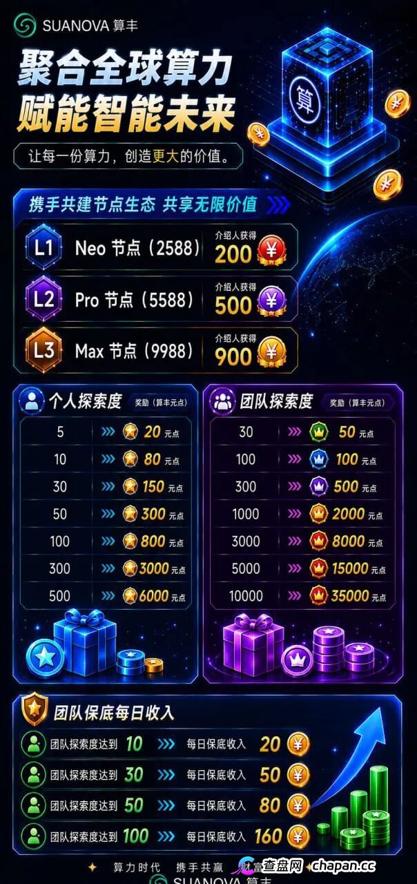 算丰SUANOVA深度拆解：AI算力外衣下的资金盘真相
