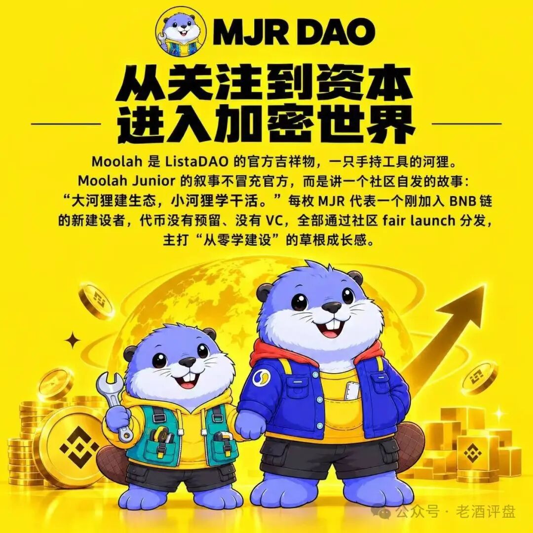 警惕MJR穆拉小跟班：包装IP叙事的链上高风险币种骗局！