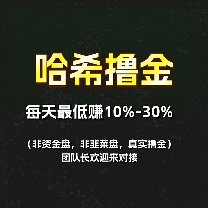 【V2/V8哈希游戏打金】包润项目，区块链公平赛道，小本既可加入、超级稳定！(2)
